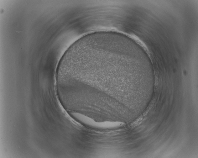 X0000073731287200608241247