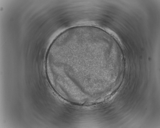 X0000073731288200608241247