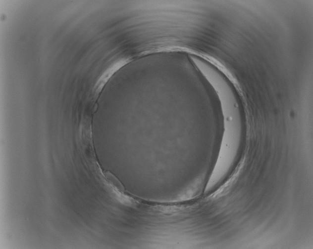 X0000073731289200608241247