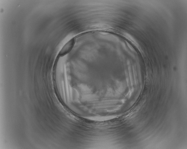 X0000073731291200608241247