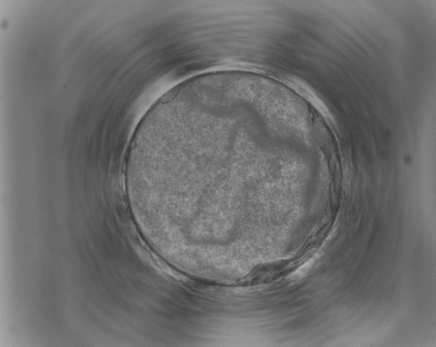 X0000073731292200608241247