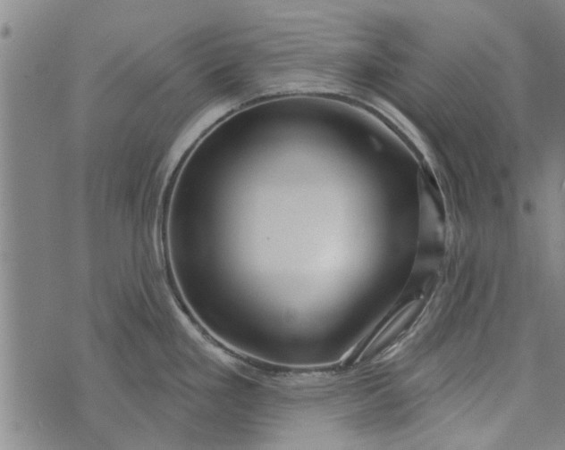 X0000073731293200608241247