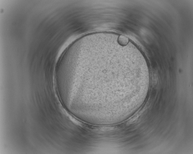 X0000073731294200608241247