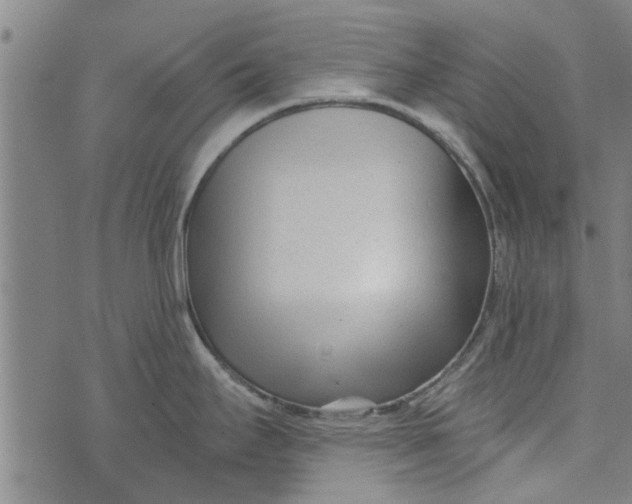 X0000073731295200608241247