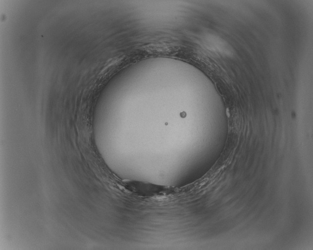 X0000073731297200608241247