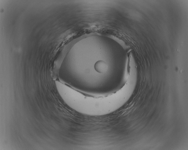 X0000073731299200608241247