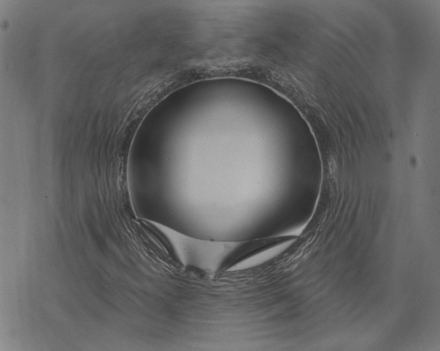 X0000073731300200608241247