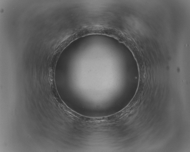 X0000073731301200608241247