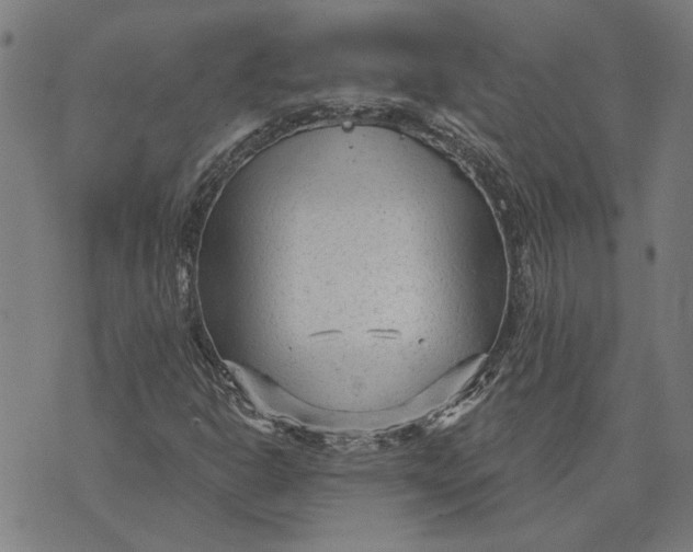 X0000073731302200608241247