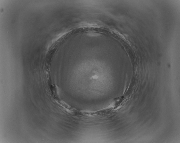 X0000073731303200608241247