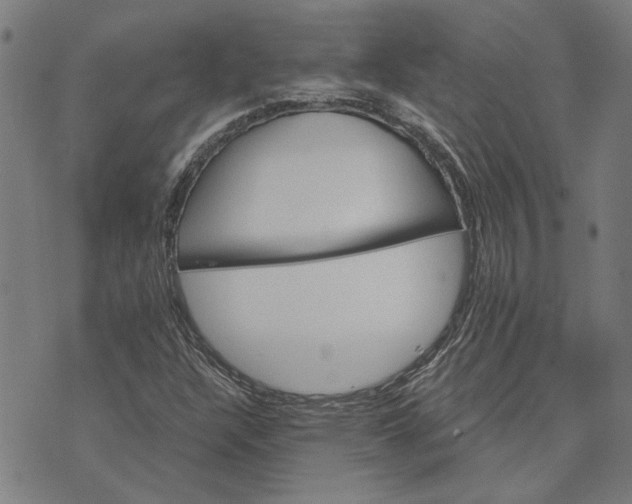 X0000073731304200608241247