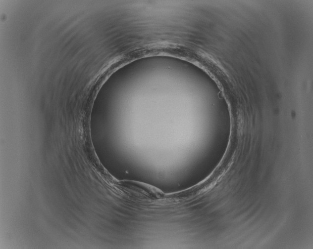 X0000073731305200608241247