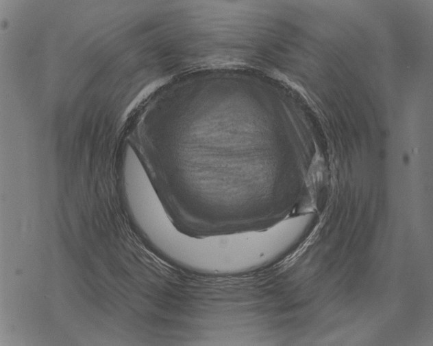 X0000073731306200608241247