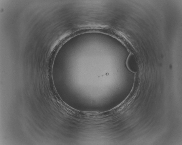 X0000073731307200608241247