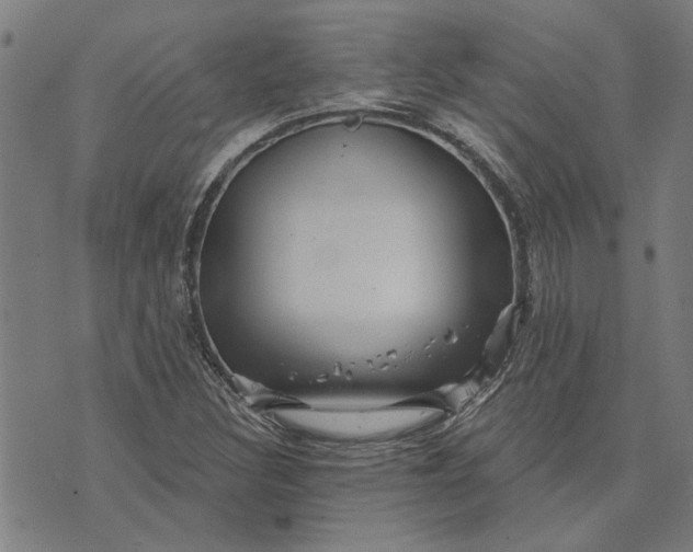 X0000073731308200608241247