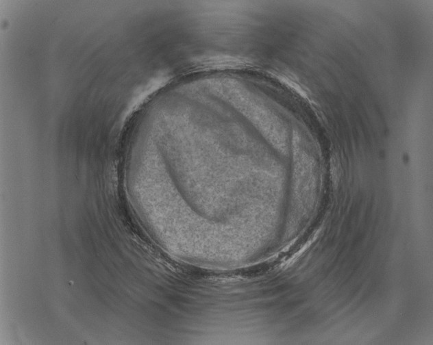 X0000073731309200608241247