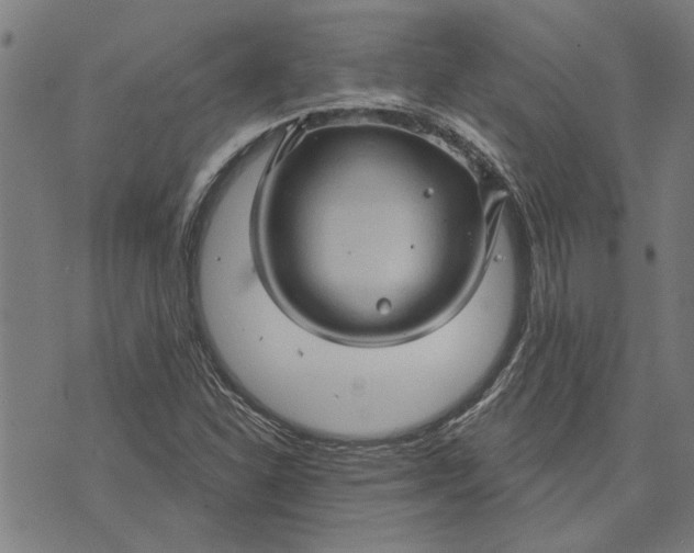 X0000073731310200608241247