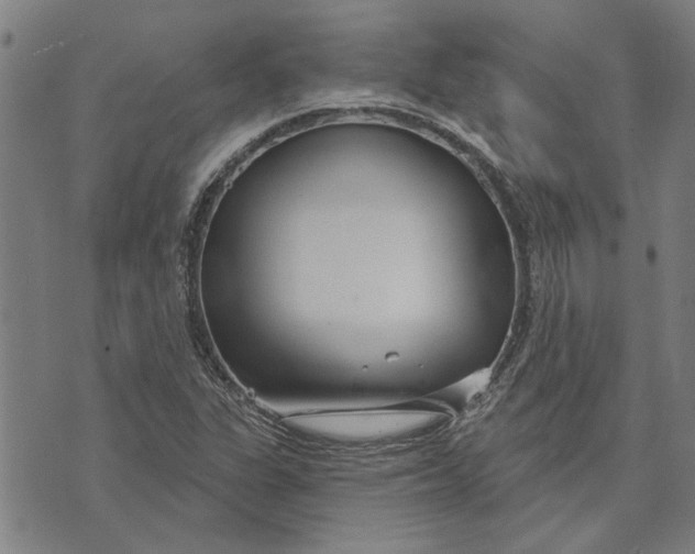 X0000073731311200608241247