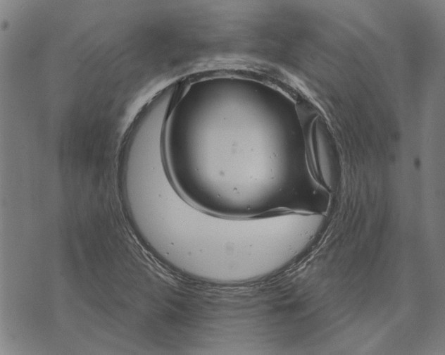 X0000073731312200608241247