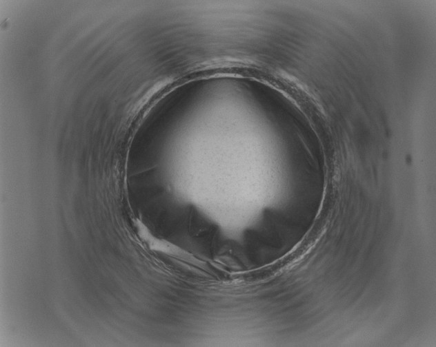 X0000073731313200608241247