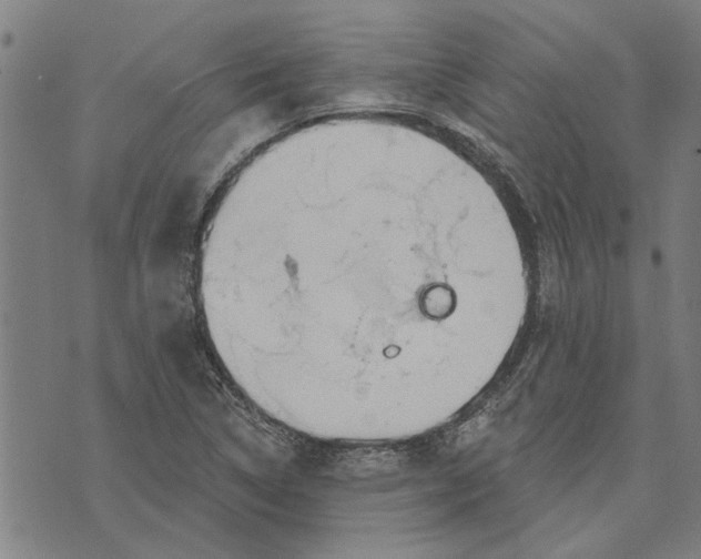 X0000073731314200608241247