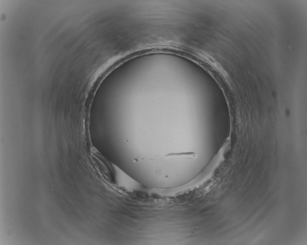 X0000073731316200608241247