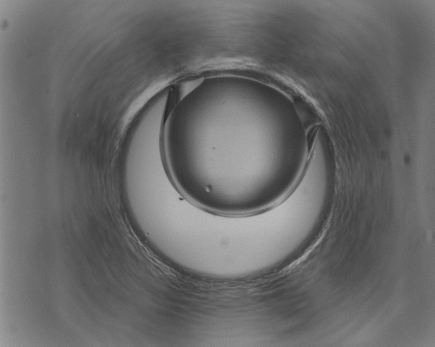 X0000073731317200608241247