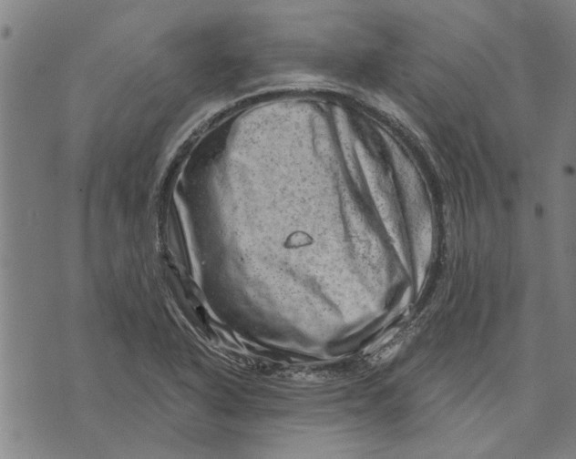 X0000073731318200608241247