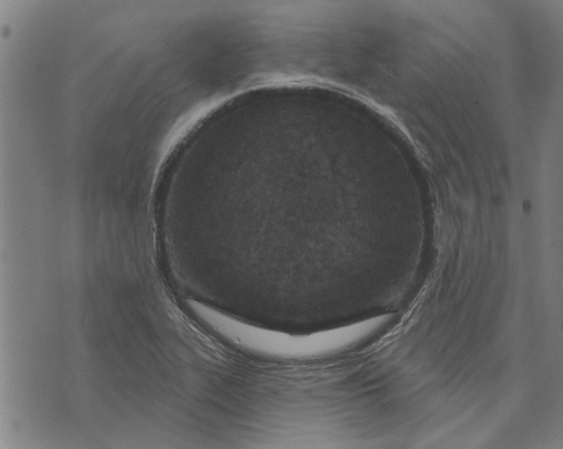 X0000073731319200608241247