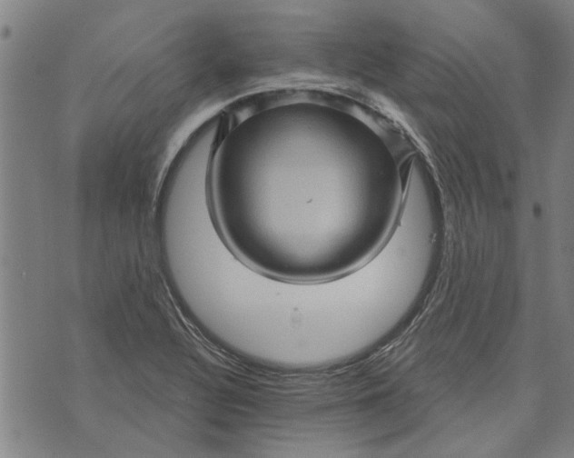 X0000073731320200608241247