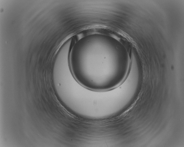 X0000073731321200608241247