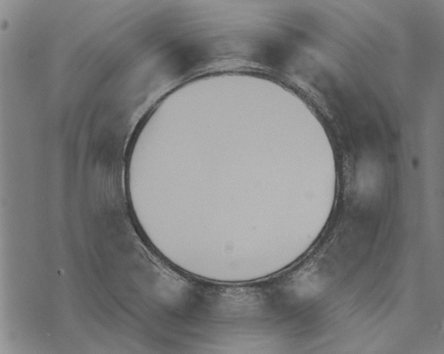 X0000073731322200608241247