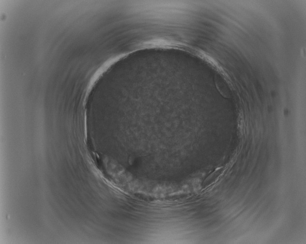 X0000073731323200608241247