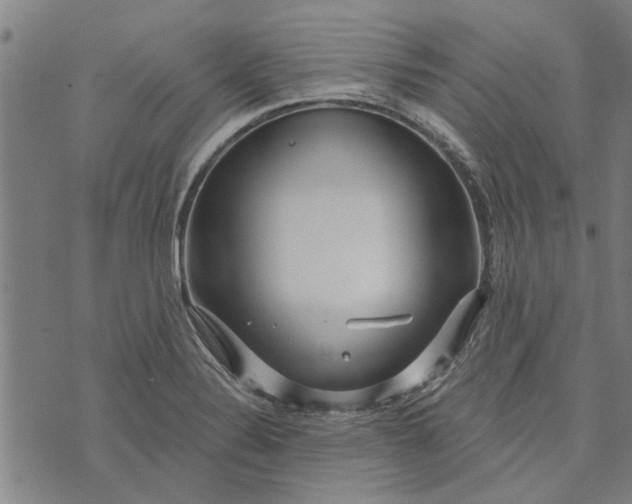 X0000073731324200608241247