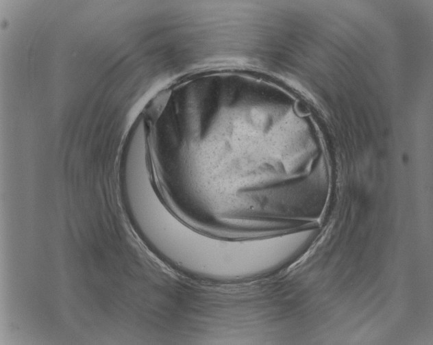 X0000073731325200608241247