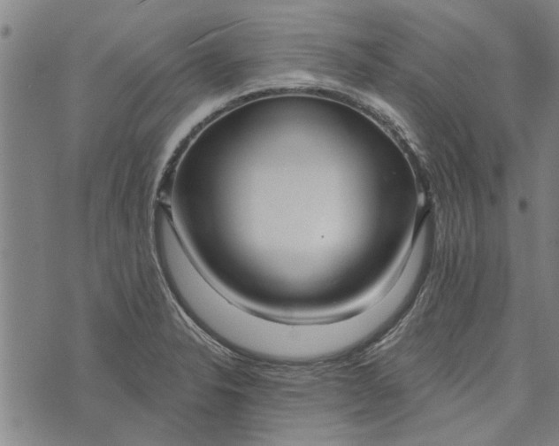 X0000073731326200608241247