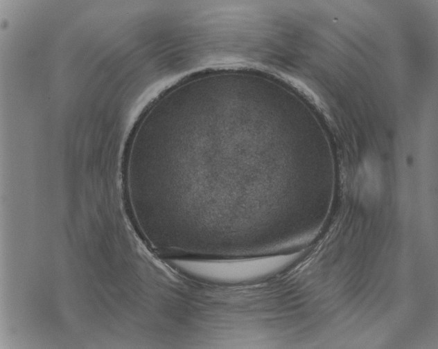 X0000073731327200608241247