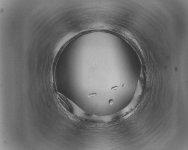 X0000073731328200608241247