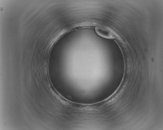 X0000073731329200608241247