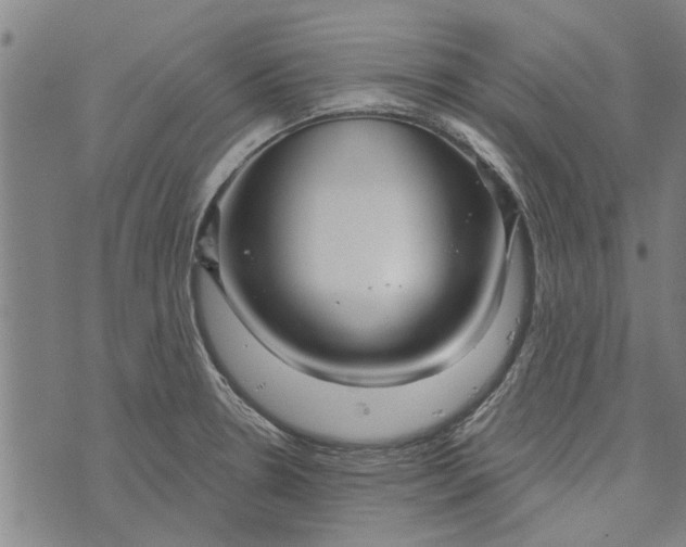 X0000073731330200608241247