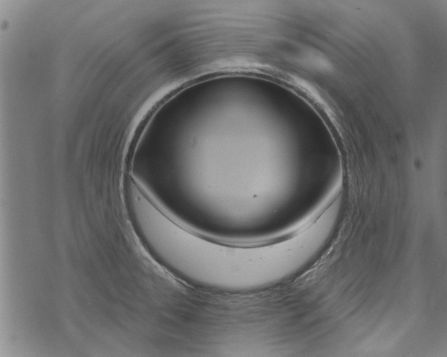 X0000073731331200608241247