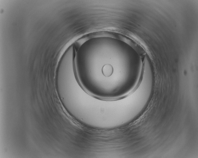 X0000073731332200608241247