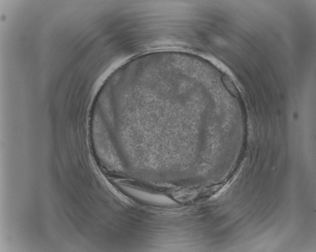 X0000073731333200608241247