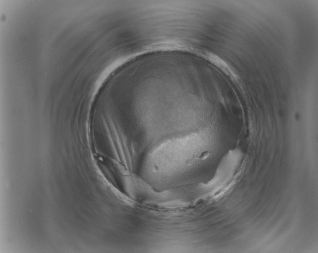 X0000073731334200608241247