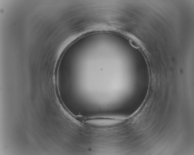 X0000073731335200608241247