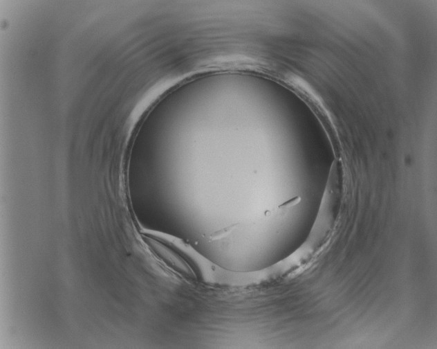 X0000073731336200608241247