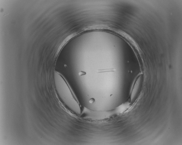 X0000073731337200608241247