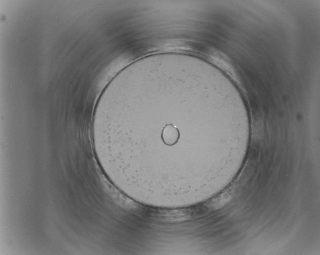 X0000073731338200608241247