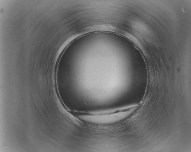 X0000073731339200608241247