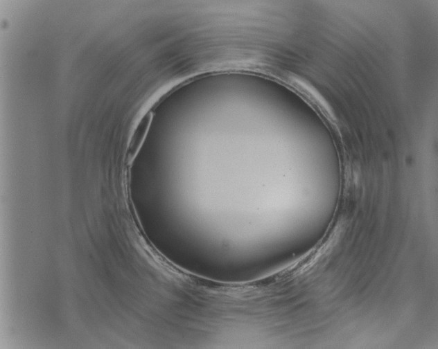 X0000073731340200608241247